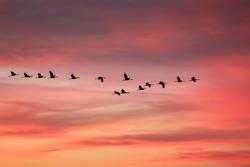 Sindrome premestruale: i benefici della pillola contraccettiva continuativa